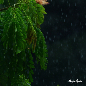 播放日本黄色录像少女开处
